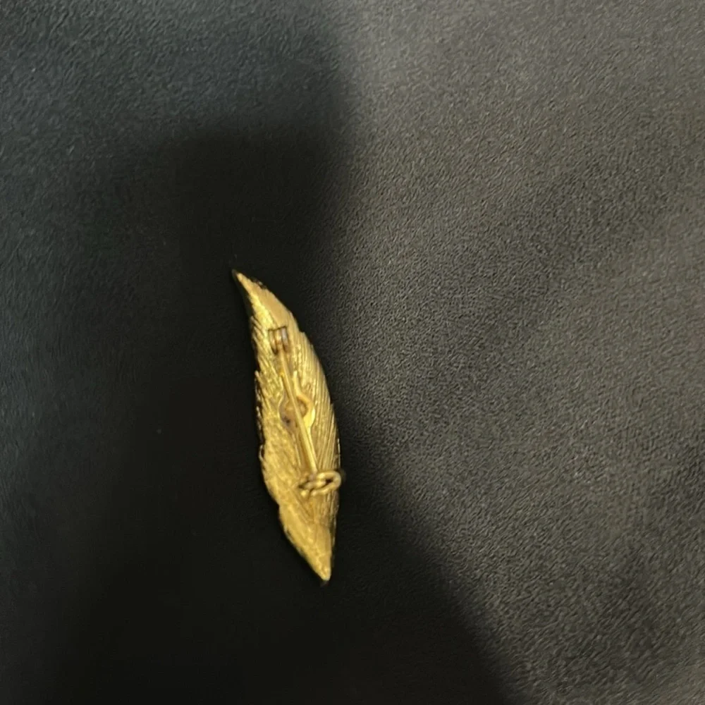 Gold finish Feather Brooch with Red Gemstone